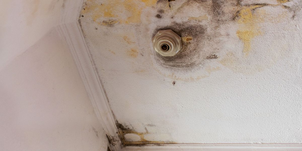 Comment faire sécher un mur après une fuite d